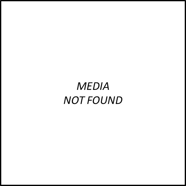 Sharpie - Permanent Markers, Highlighters, Pens & More